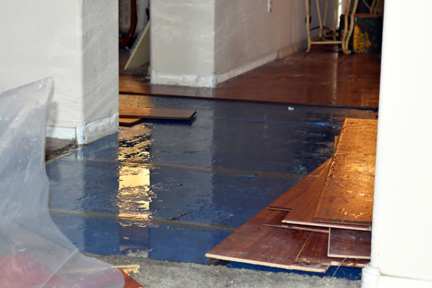 Professional Basement Water Removal technician working in Wake Forest, NC