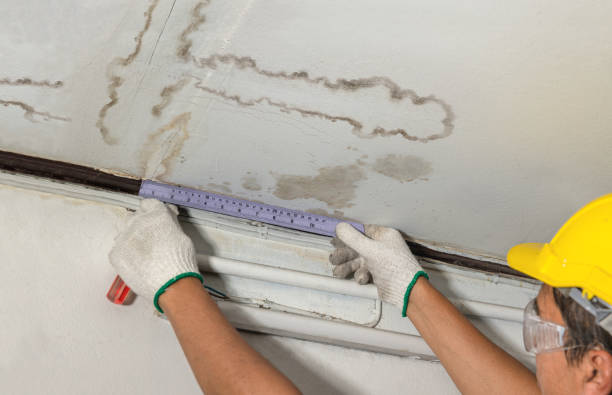 Reliable Basement Water Removal contractor in Wake Forest, NC by Water Damage Irwin